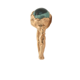SPERO Ring