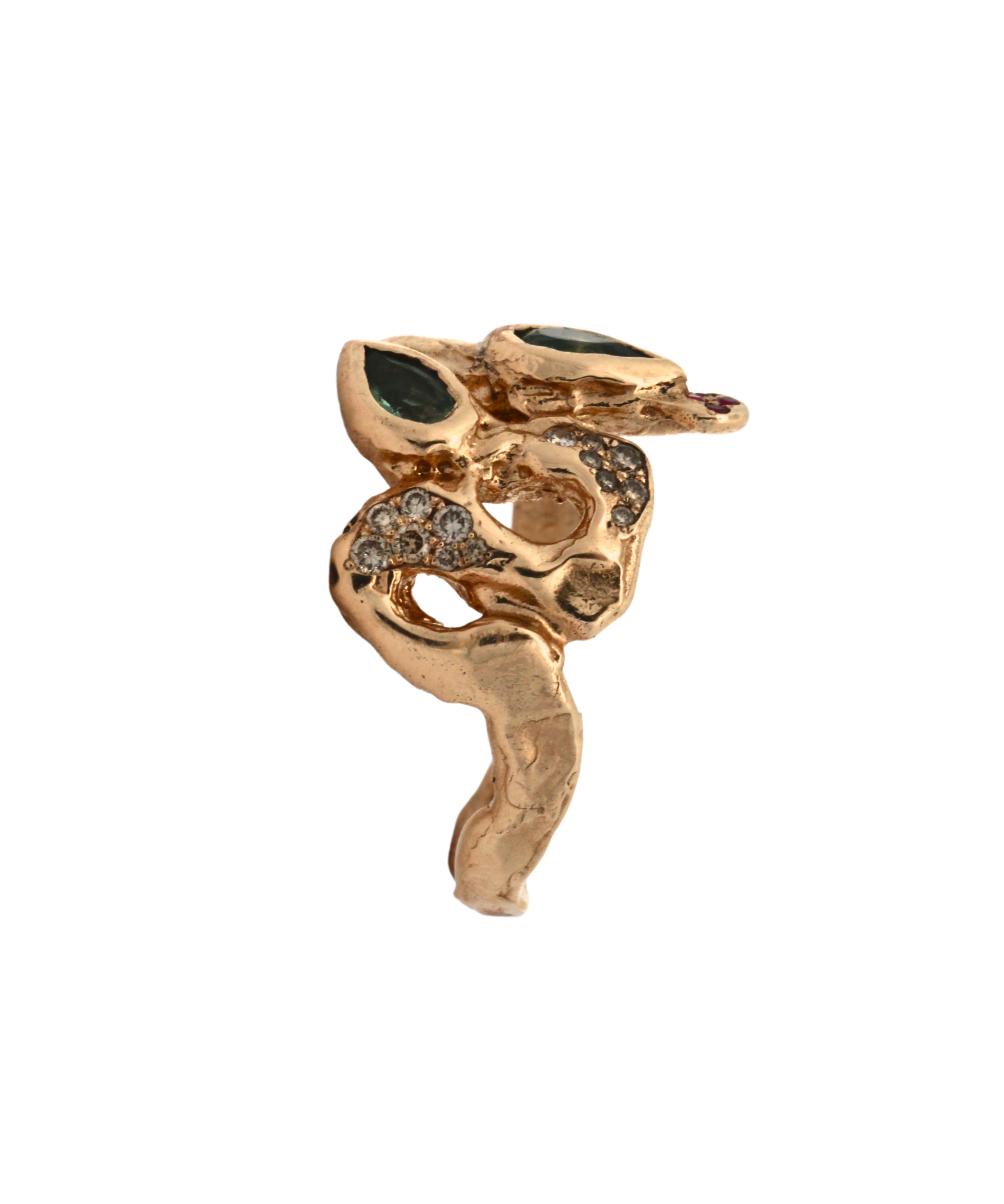 SNAKE Ring scale view