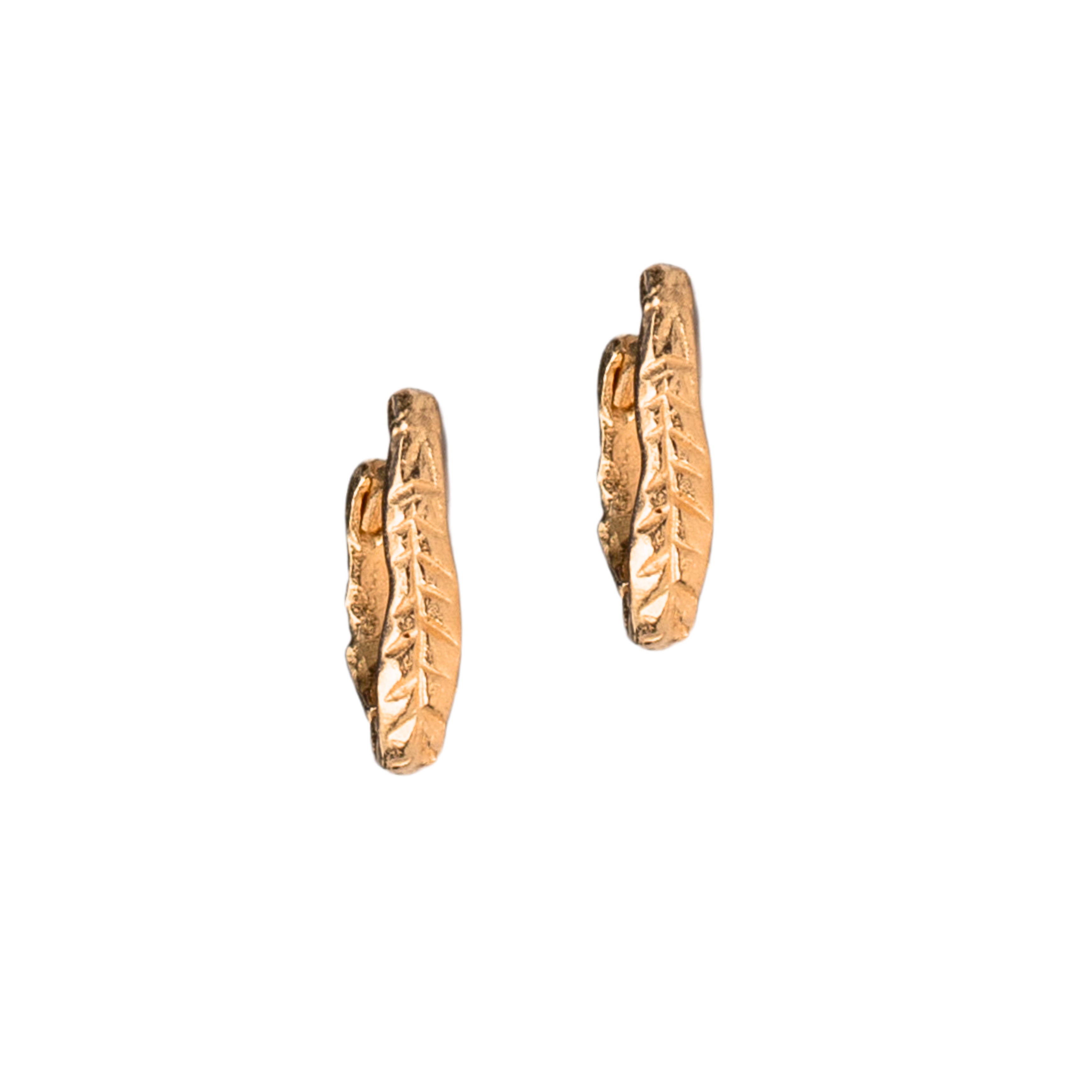 Crooked Fern Mini Hoop Earrings in 14K Yellow Fairmined Gold