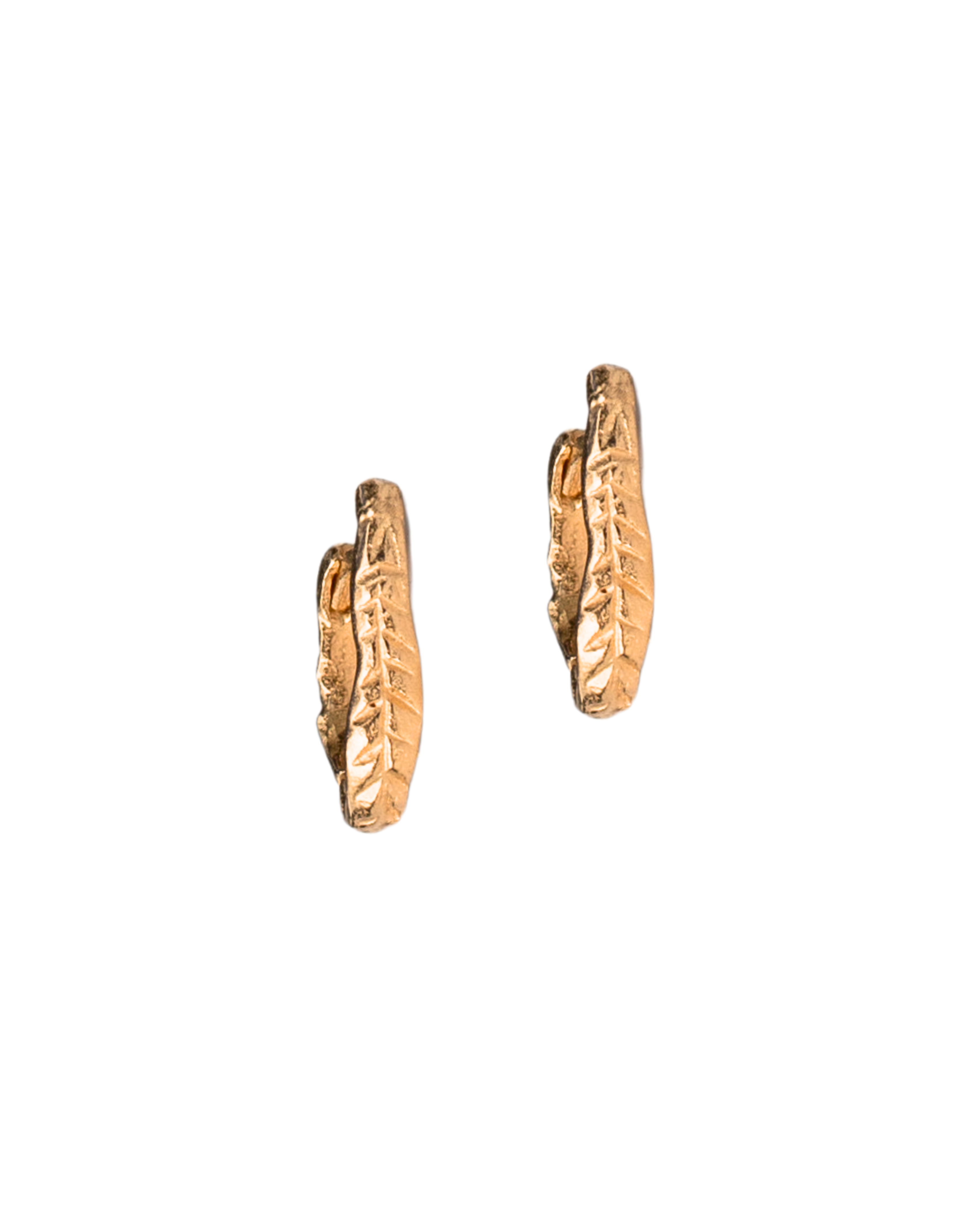 Crooked Fern Mini Hoop Earrings in 14K Yellow Fairmined Gold