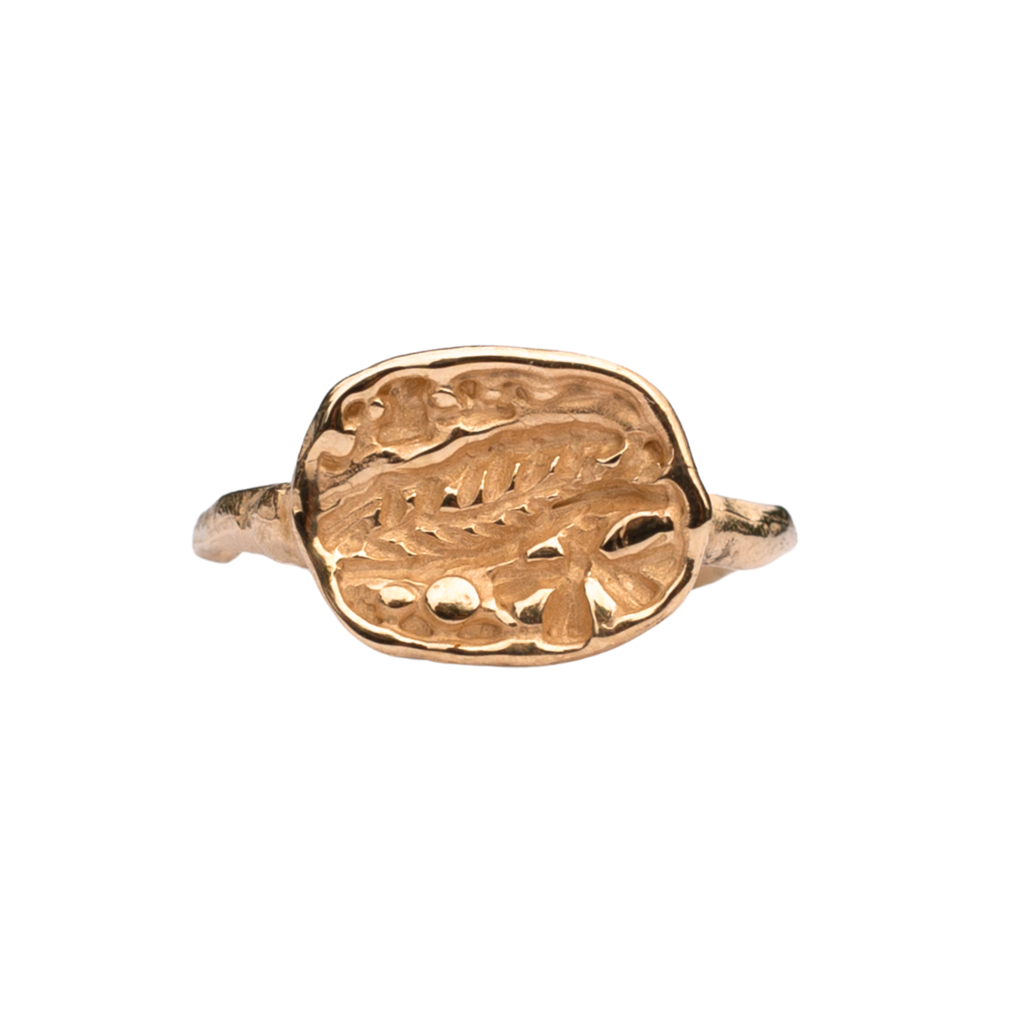 FRIKA Round Signet Ring in 14K Yellow Fairmined Gold