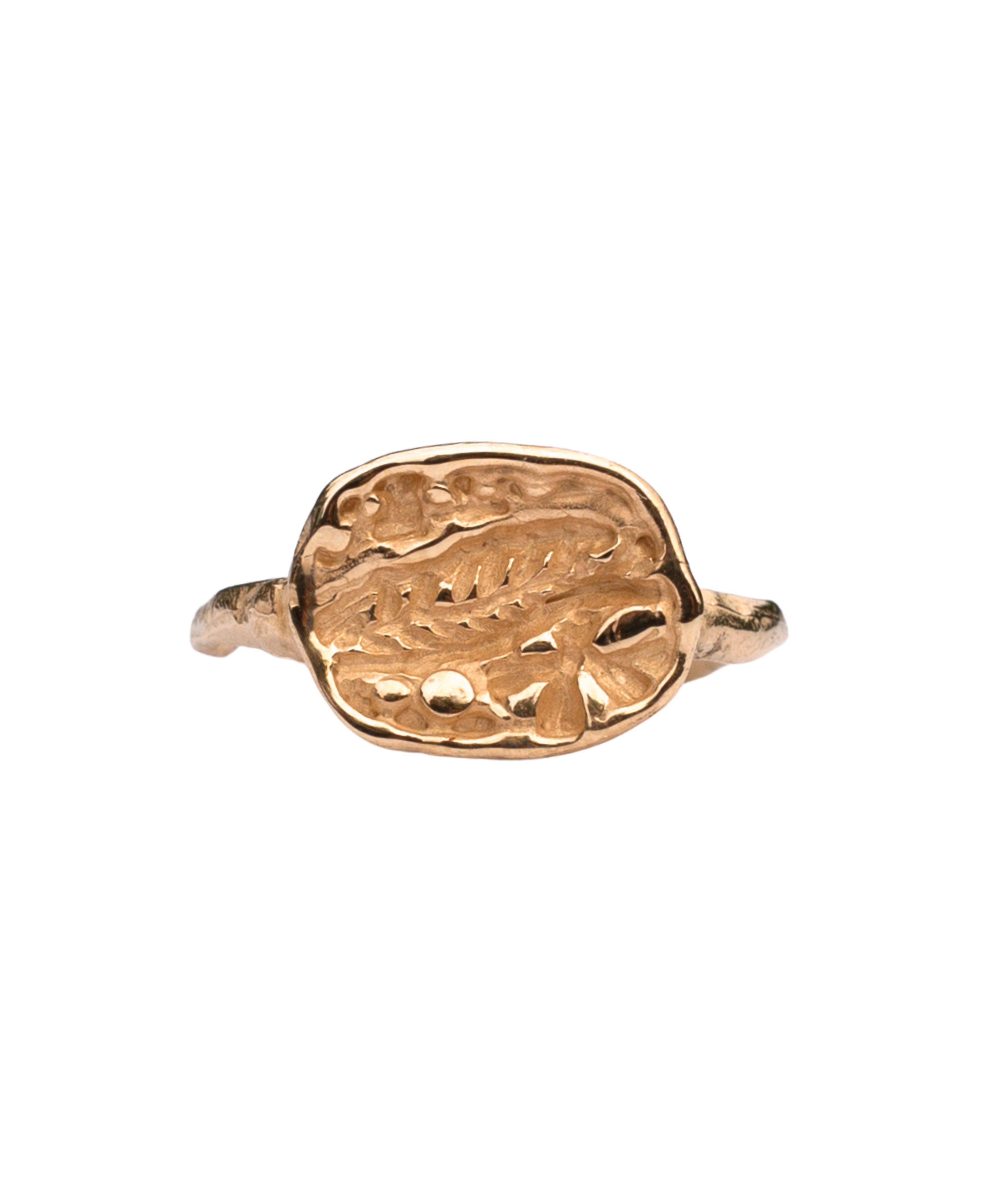 FRIKA Round Signet Ring in 14K Yellow Fairmined Gold