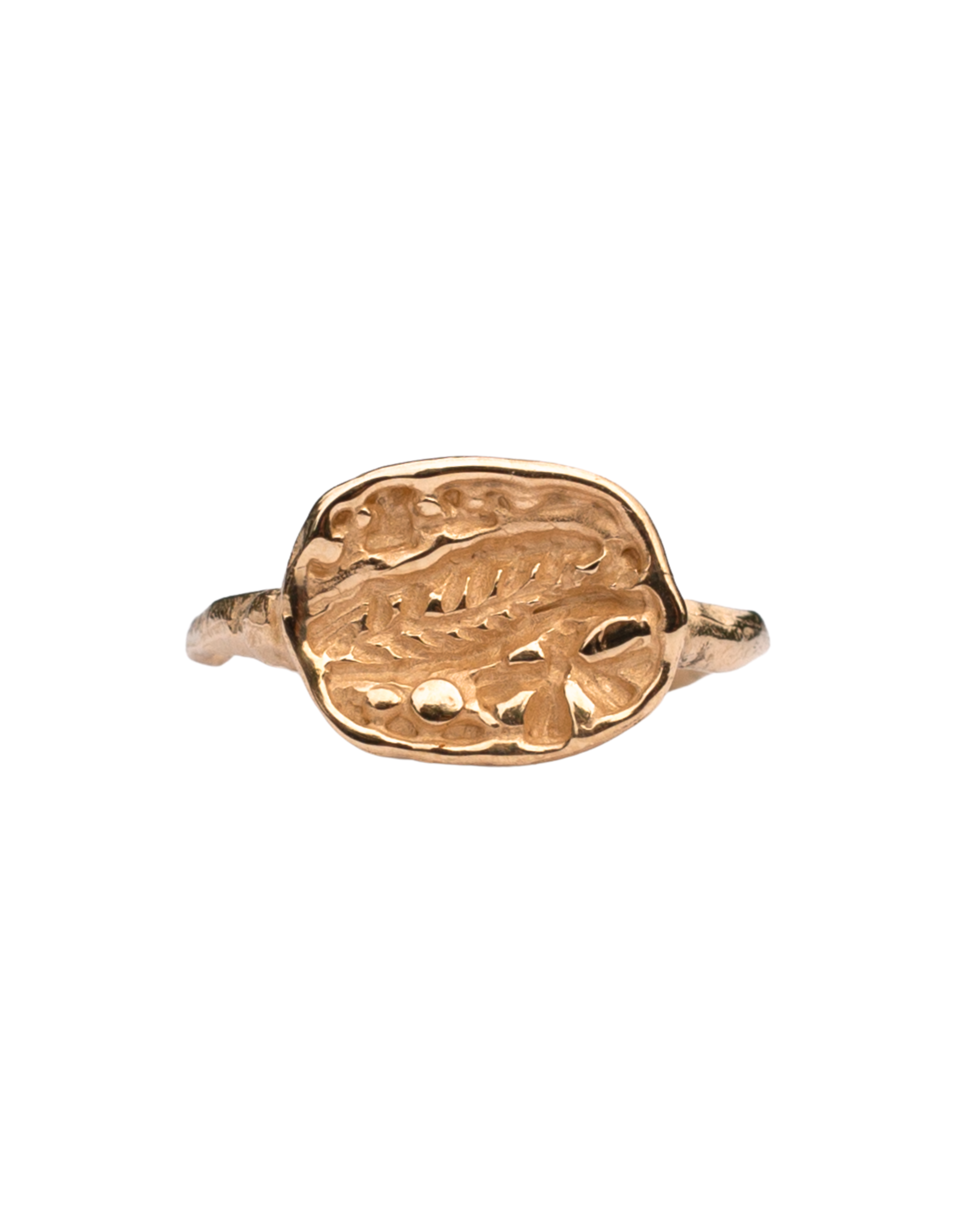 FRIKA Round Signet Ring in 14K Yellow Fairmined Gold